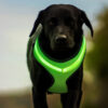 LED USB Charging Reflective Dog Harness Vest - Image 2
