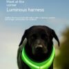LED USB Charging Reflective Dog Harness Vest - Image 4