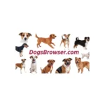 DogsBrowser.com